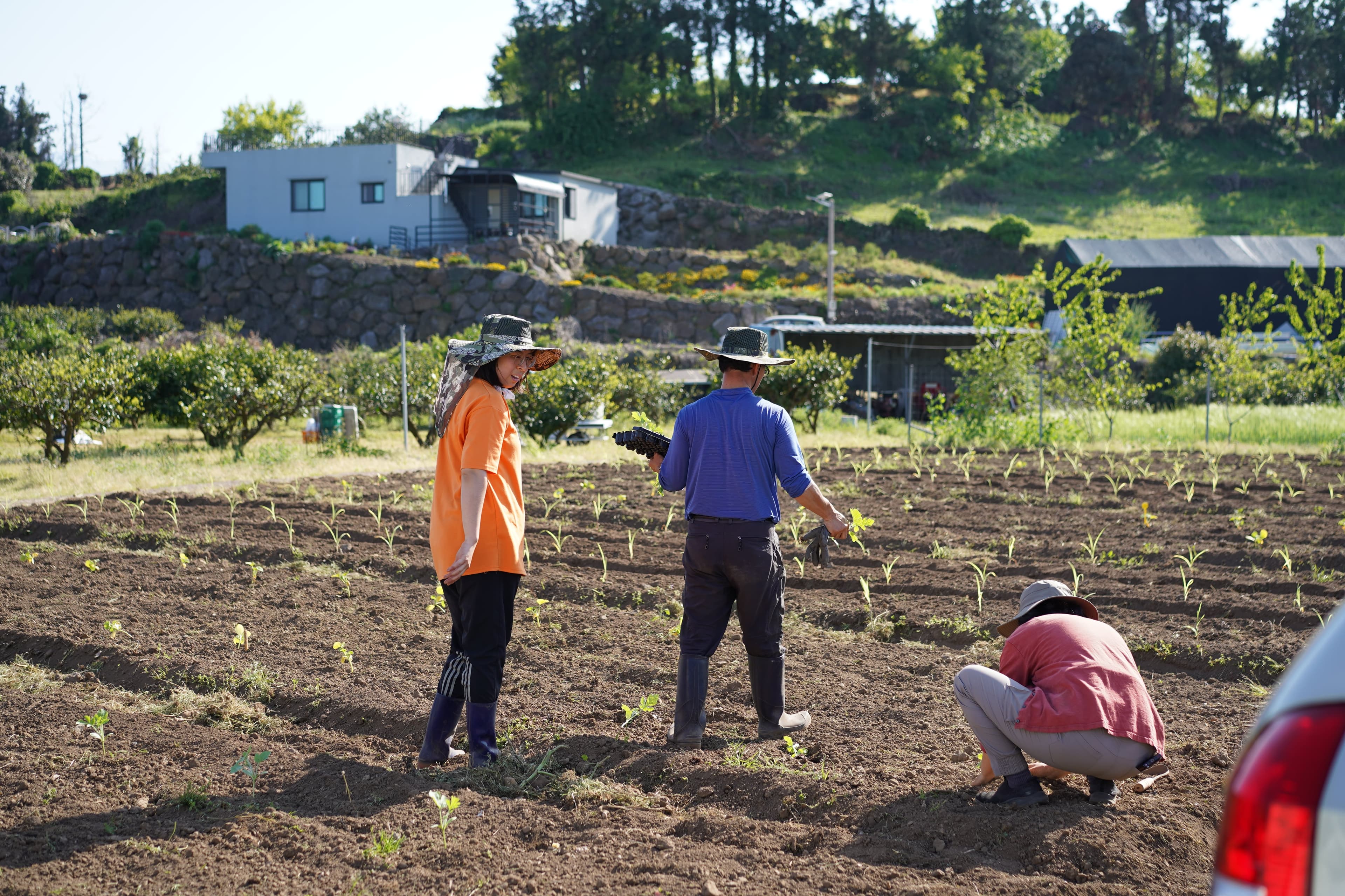 '내 농, 내 먹'의 기쁨을 함께 배우는 곳
