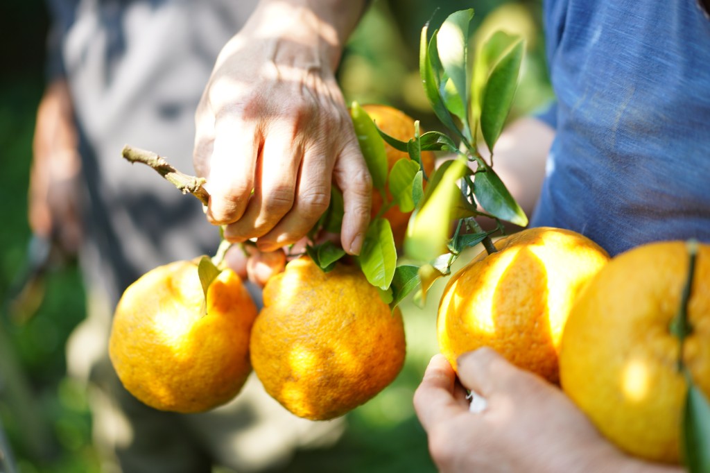 올바른농부장 현장 모습