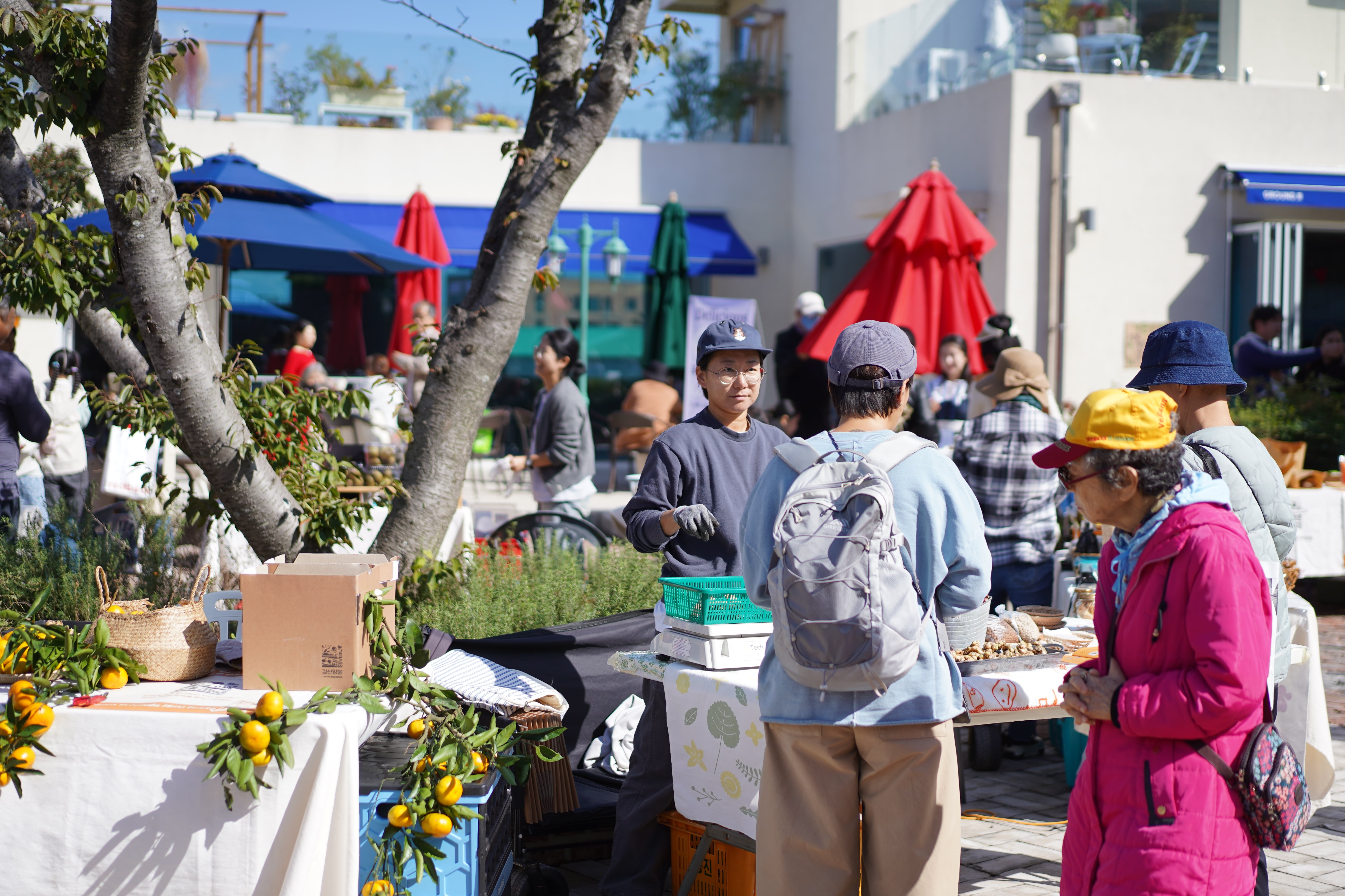 기후 변화 속에서도 답을 찾는 청년농부들