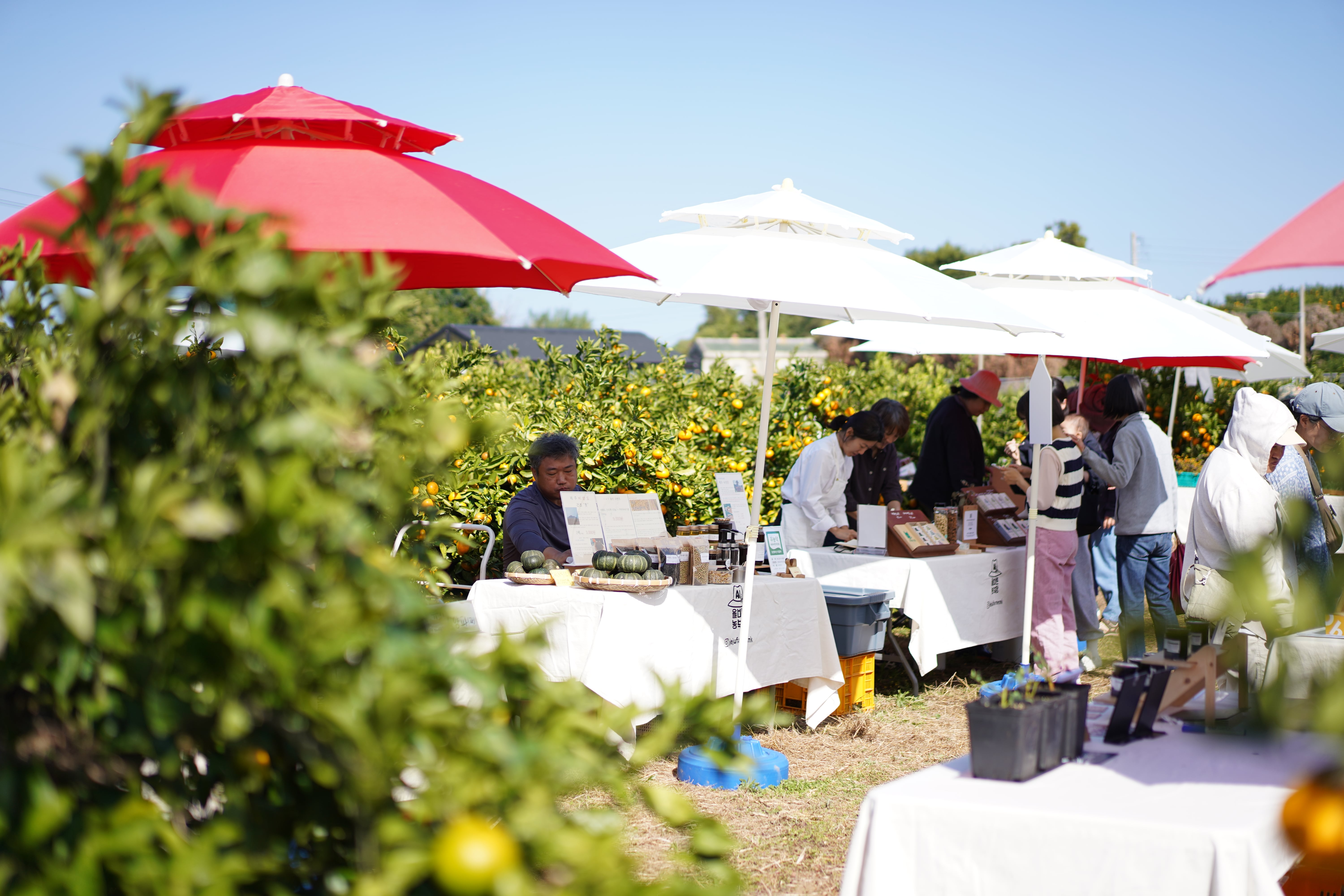 7년 동안 100번 넘게 이어온 장터