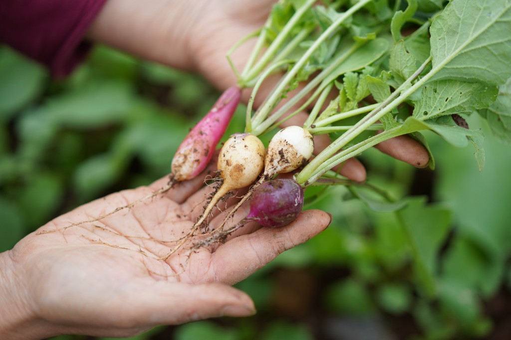 올바른농부장 현장 모습