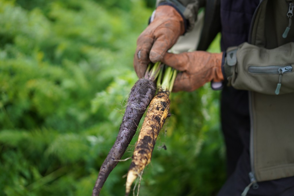 올바른농부장 현장 모습