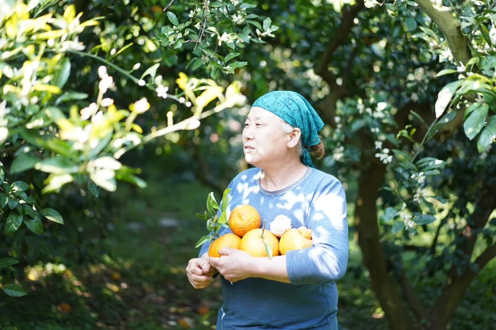 감귤을 든 박은주 농부